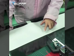 การทดสอบผลิตภัณฑ์ TECPPF